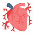 Cardiovascular